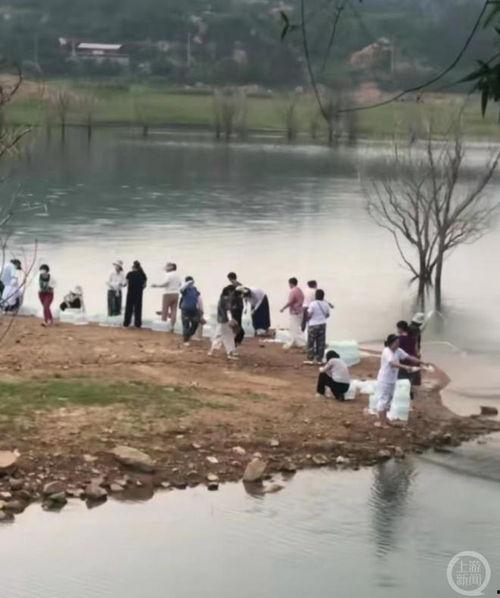 放生矿泉水视频