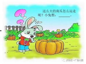 小兔运南瓜的故事视频,勇敢与智慧的南瓜之旅